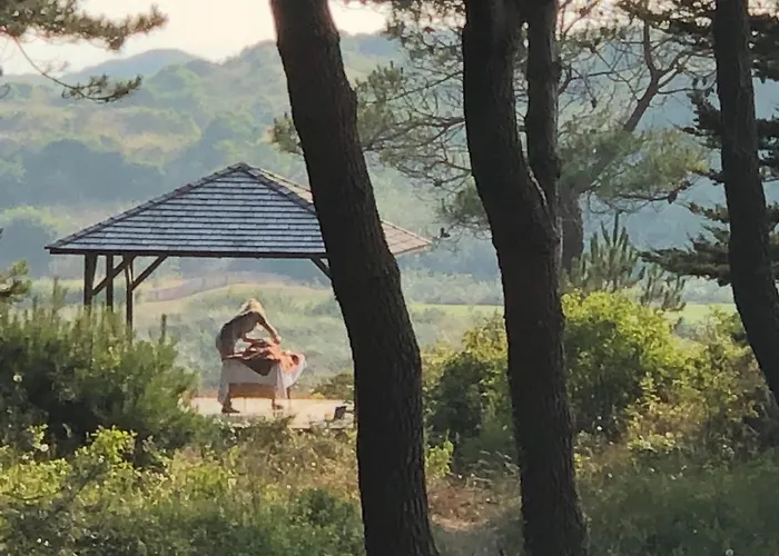 Hébergement de vacances Le Le Touquet-Paris-Plage