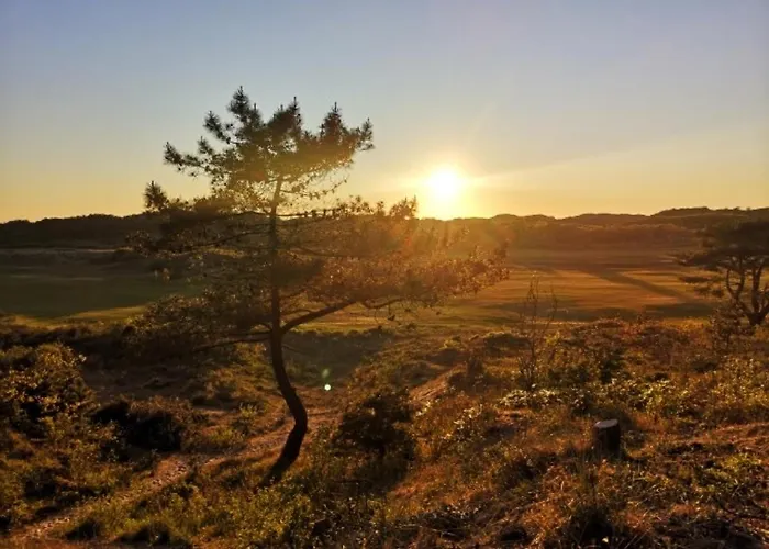 Hébergement de vacances Le *